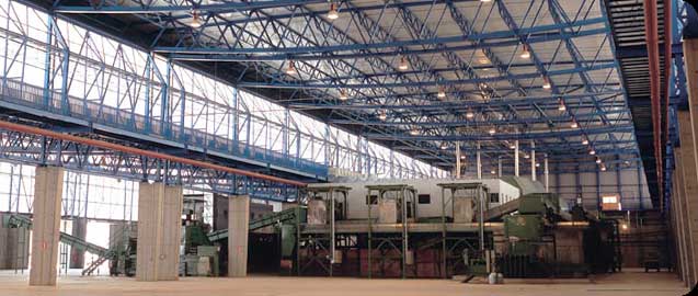 imagen planta gersul leon