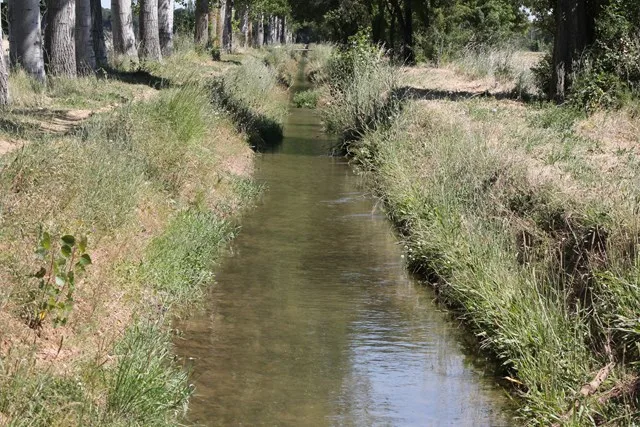 Cerca de un millar de parcelas en Ponferrada podrían pasar a ser patrimonio del Estado tras la concentración de la zona regable del Canal Bajo del Bierzo