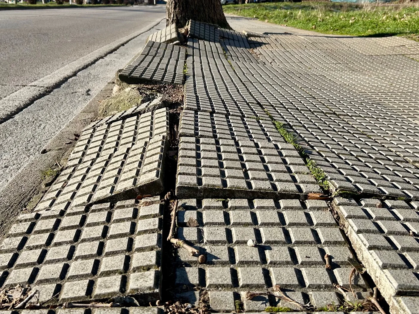 La Concejalía de Fomento iniciará el 20 de enero las obras de sustitución de aceras en la Avenida del Castillo