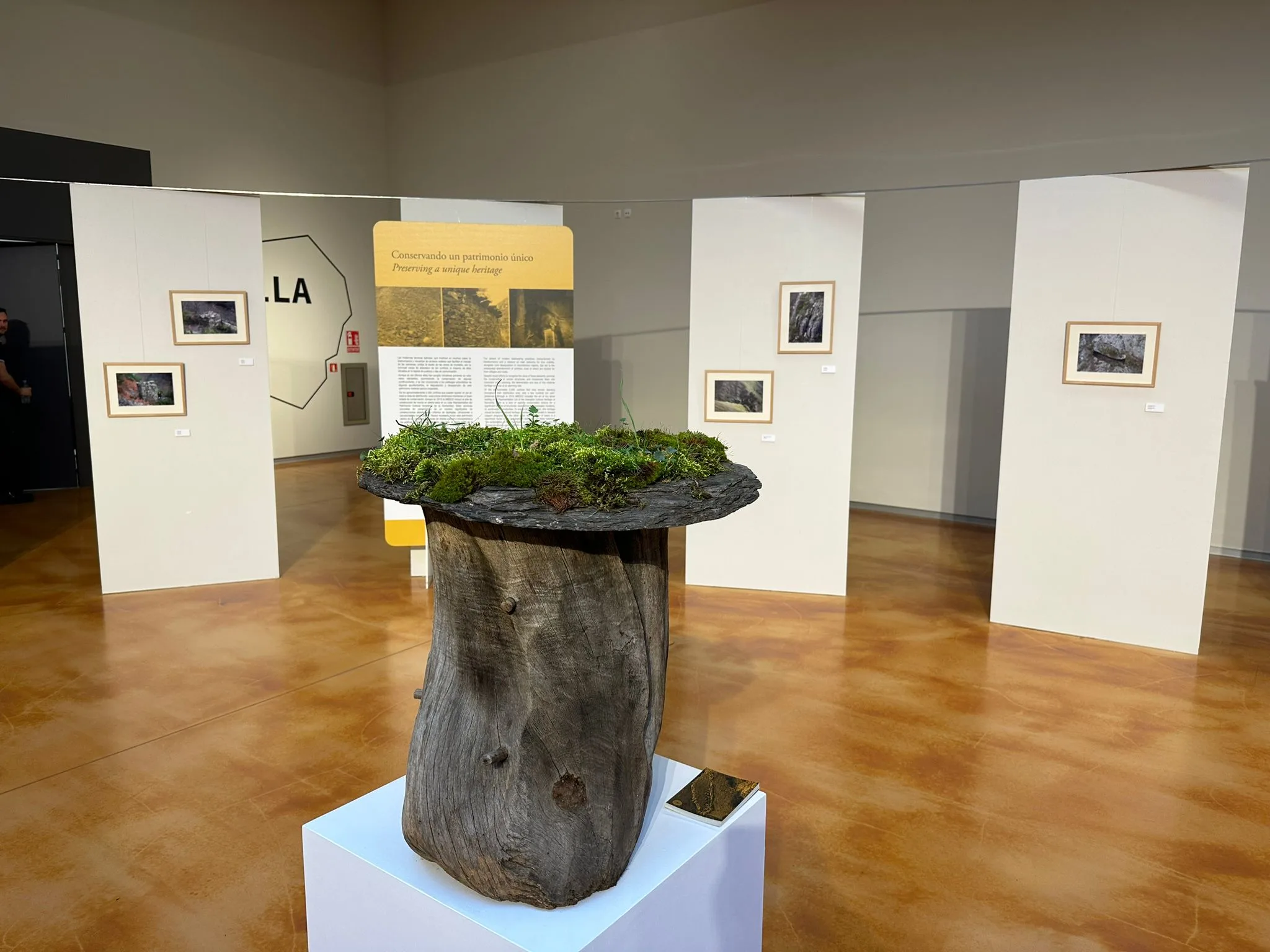 La Térmica Cultural de Ponferrada acoge la exposición "Cortinos. Colmenares tradicionales del occidente de Asturias"