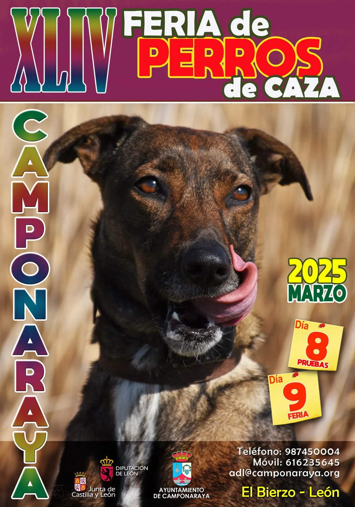 XLIV Feria de Perros de Caza de Camponaraya