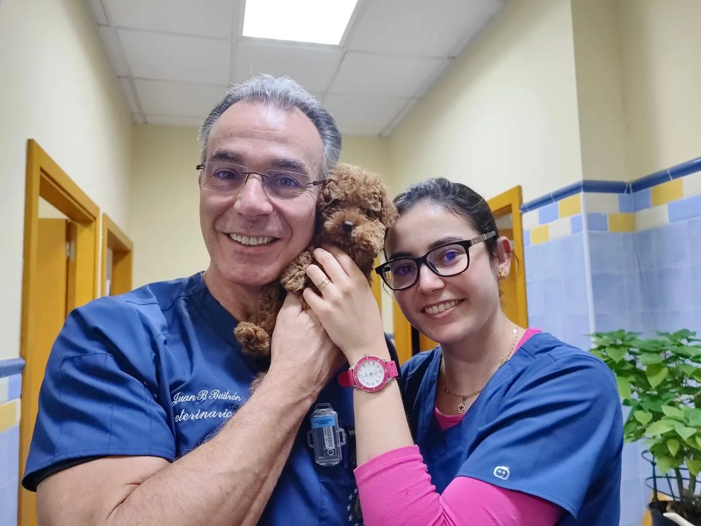 Veterinarios de El Bierzo se suman a la huelga nacional contra el RD 666/23: "Pone en riesgo la salud animal"