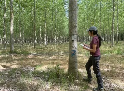 Dos estudiantes del Campus de Ponferrada ganan los premios nacionales ‘Bosques y Ríos’ al mejor TFG y TFM sobre populicultura