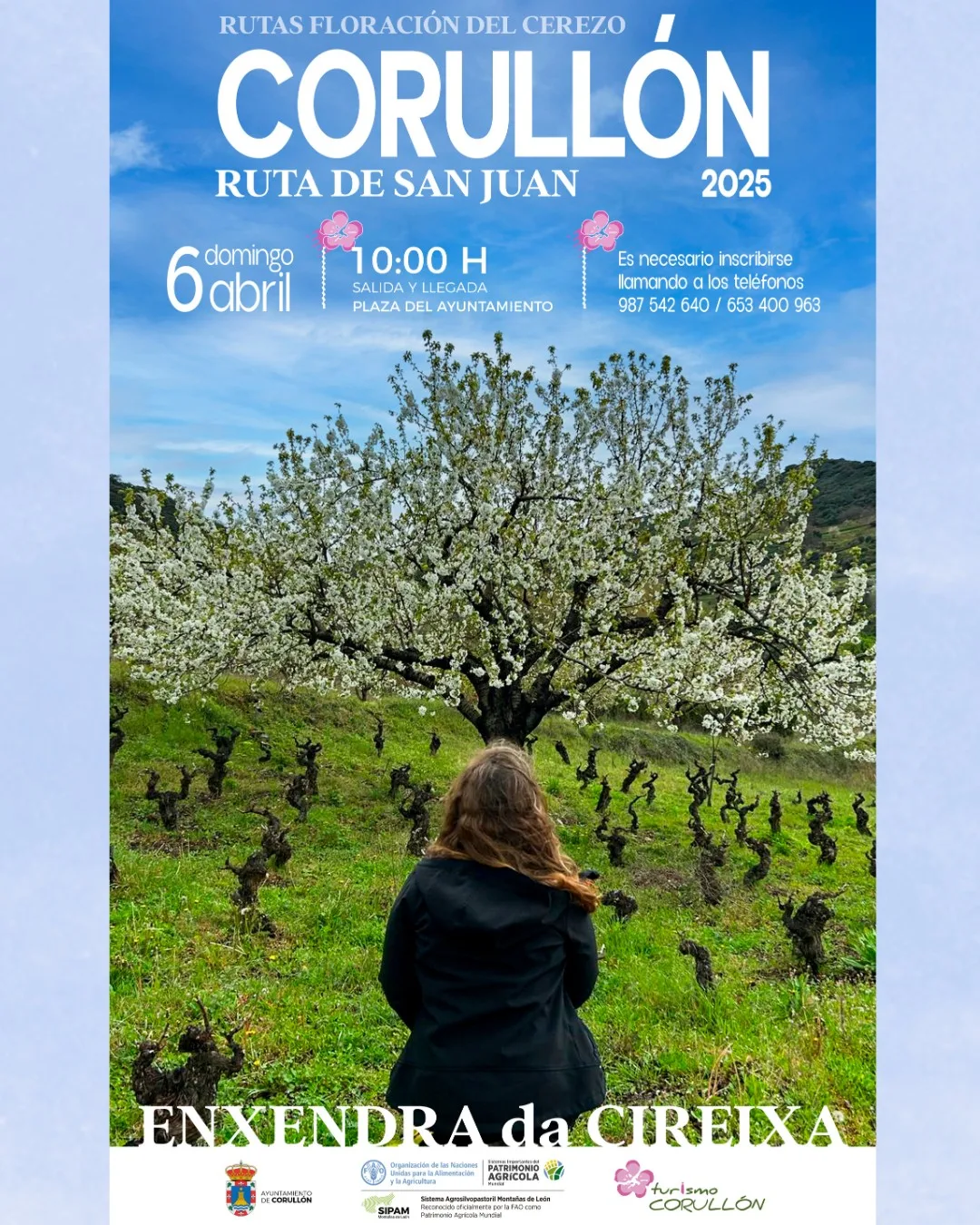 Maravilla primaveral: Ruta de senderismo entre cerezos en flor