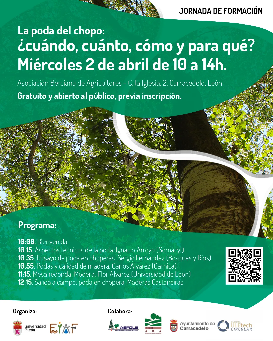 El campus de Ponferrada organiza una jornada gratuita sobre la poda del chopo