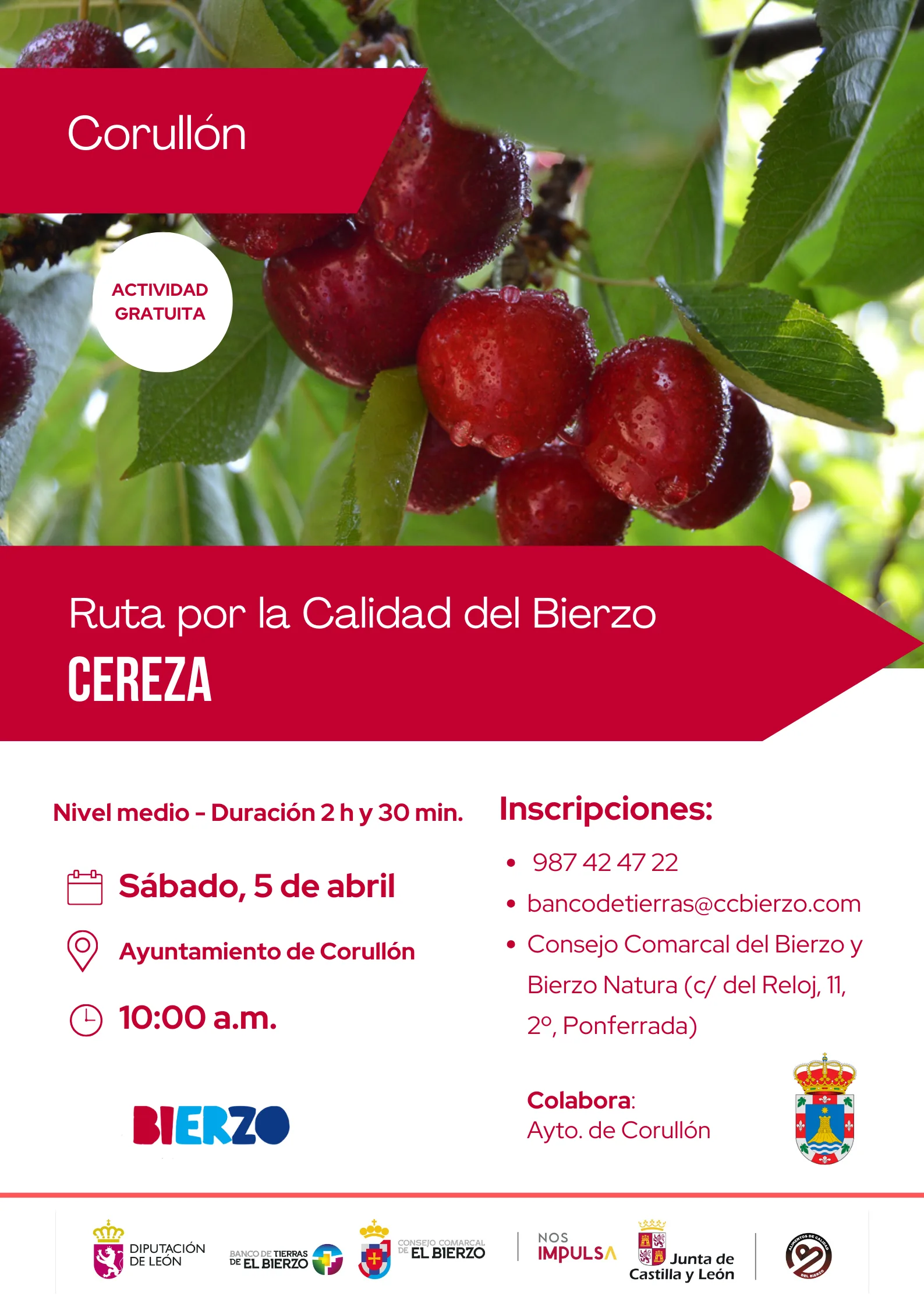 El Consejo Comarcal abre el plazo para la inscripción en la ruta dedicada a la cereza