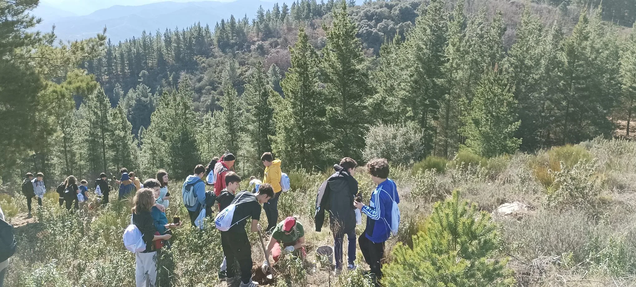 El I.E.S. Gil y Carrasco participa en la reforestación del Monte Pajariel junto a la Concejalía de Medio Ambiente