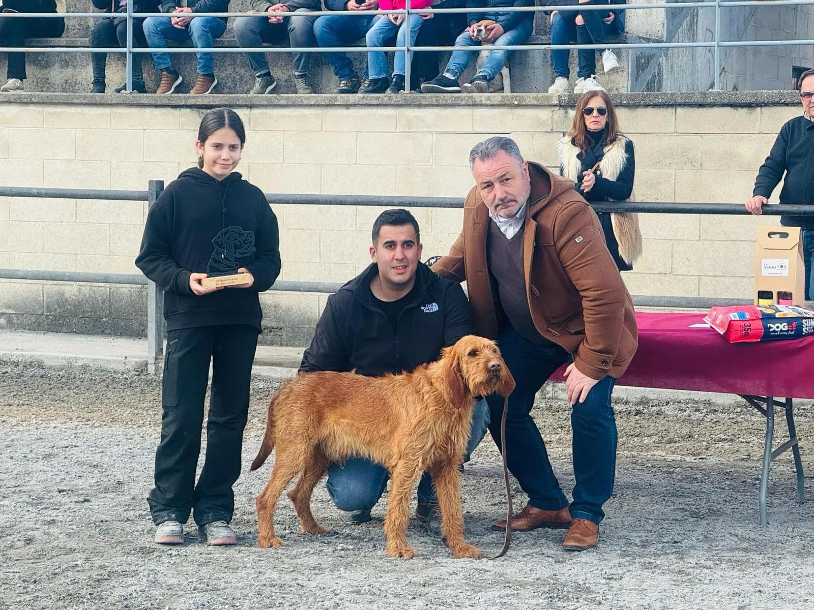 XLIV Feria de Perros de caza en Camponaraya: Un éxito en el concurso de belleza canina