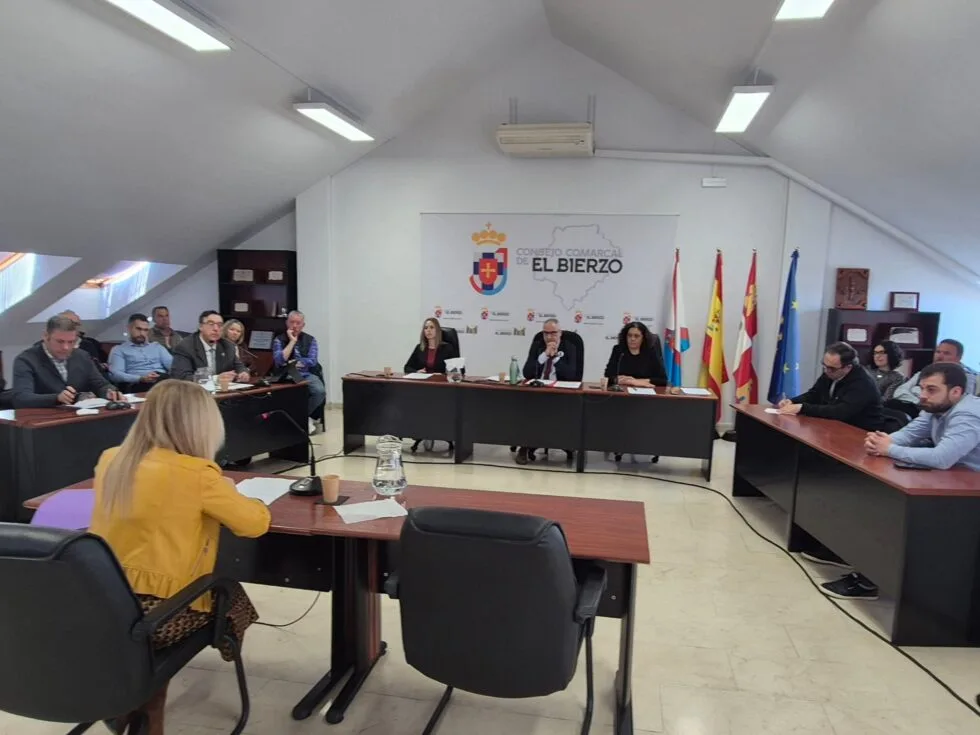 El Pleno del Consejo aprueba un nuevo modelo de control interno para agilizar la tramitación de sus gastos e inversiones