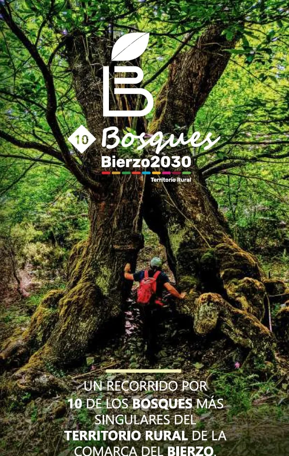 El Consejo Comarcal del Bierzo lanza guías interactivas para conocer los bosques y montañas más emblemáticos de la comarca