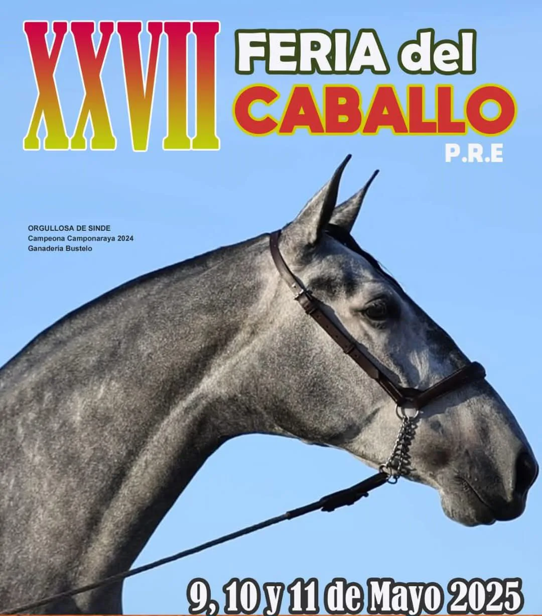 Del 9 al 11 de mayo: Camponaraya celebra la XXVII Feria del Caballo de pura raza española