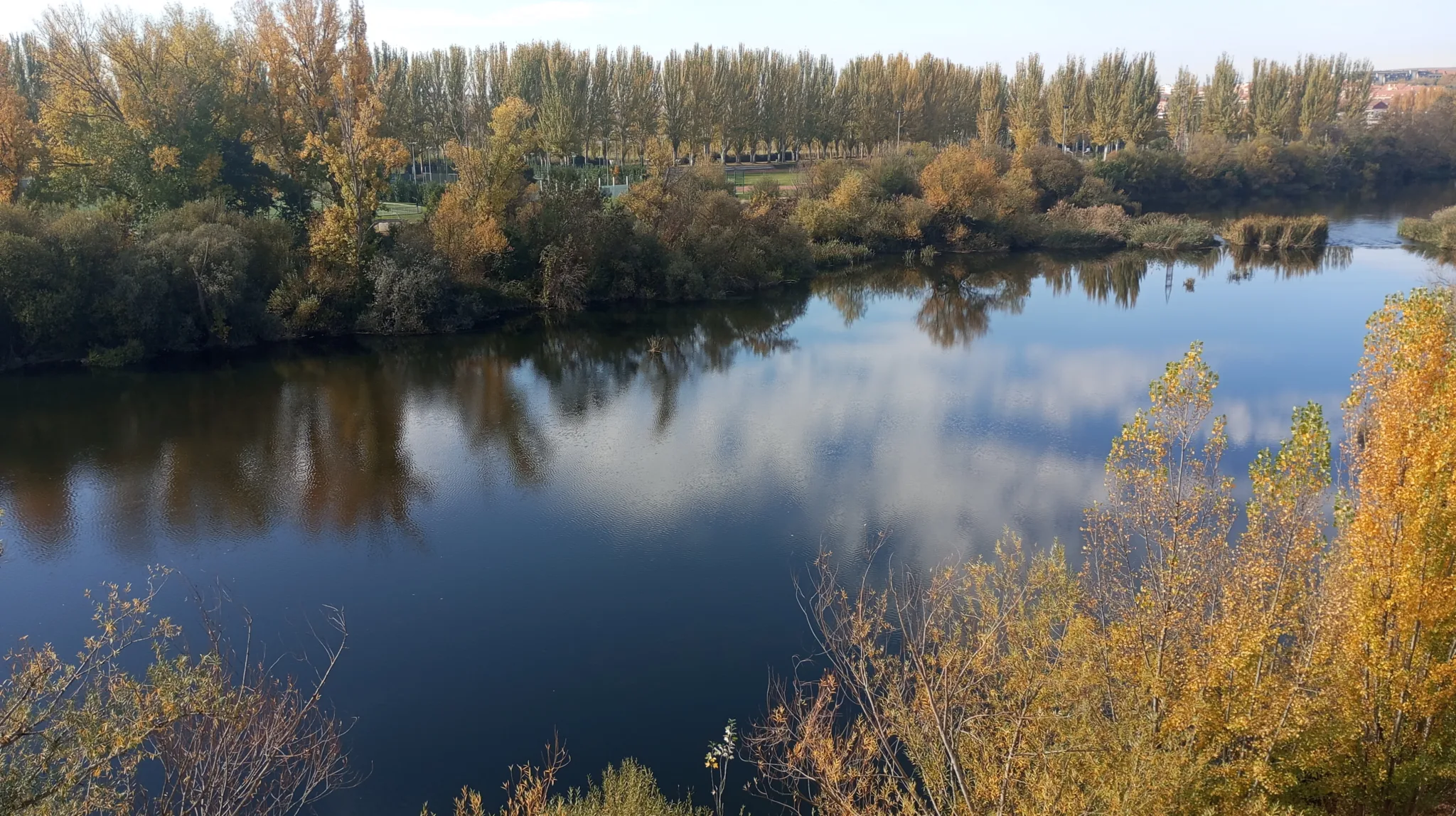 Salamanca fluyendo por las arterias de mis sueños