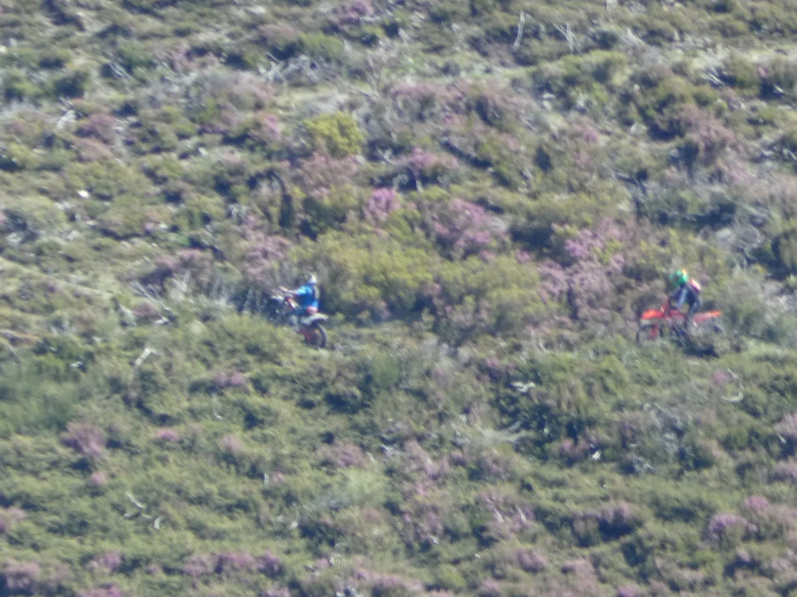 Agentes medioambientales interceptan varias motos circulando fuera de pista en el monte de La Robla