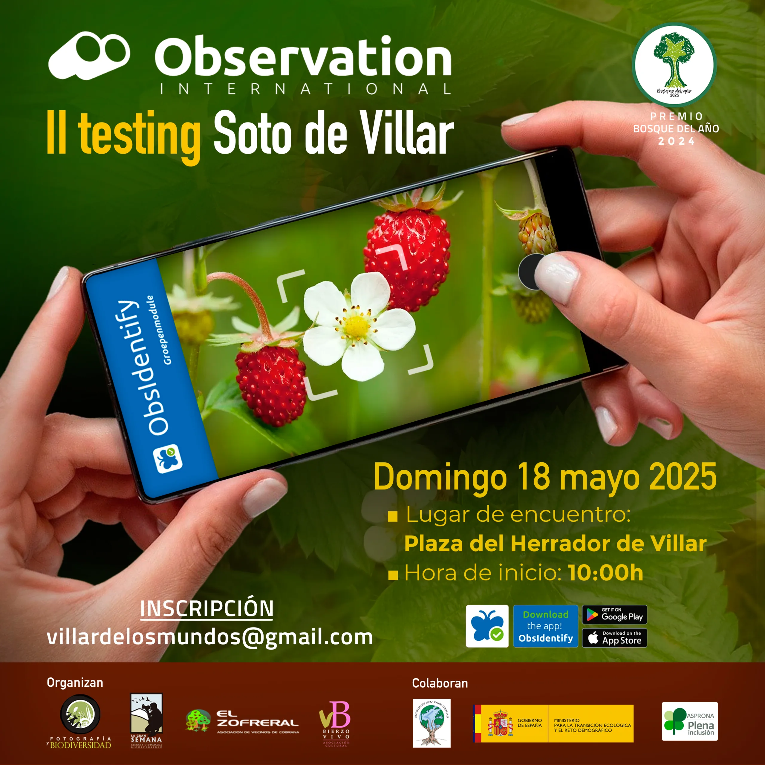 II Testing Soto de Villar de Los Barrios