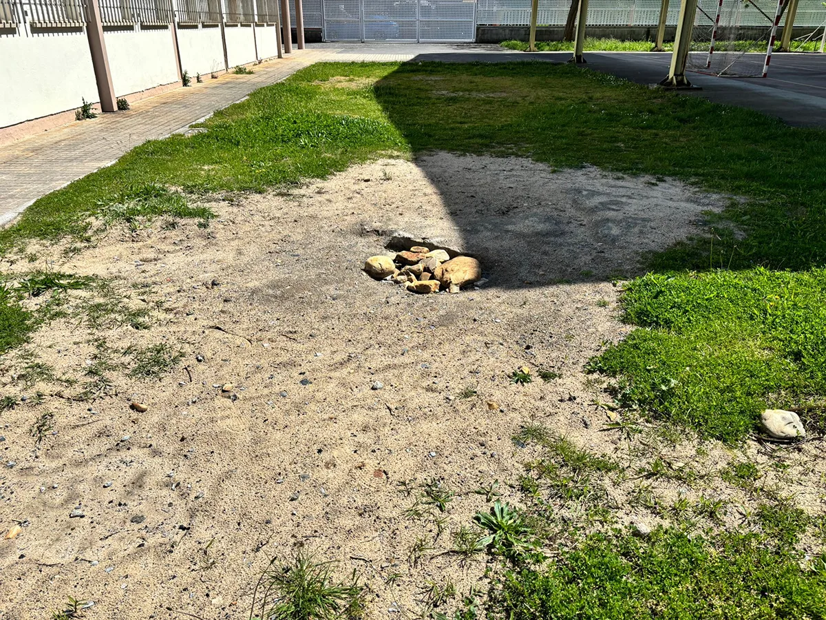 [FOTOS-VIDEO] Denuncian el estado de abandono y peligrosidad en las instalaciones externas del CRA de Quilós