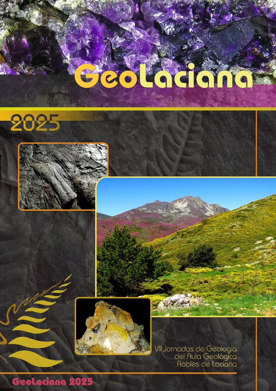 El Valle de Laciana acoge la VII edición de las Jornadas de Geología - Geolaciana 2025