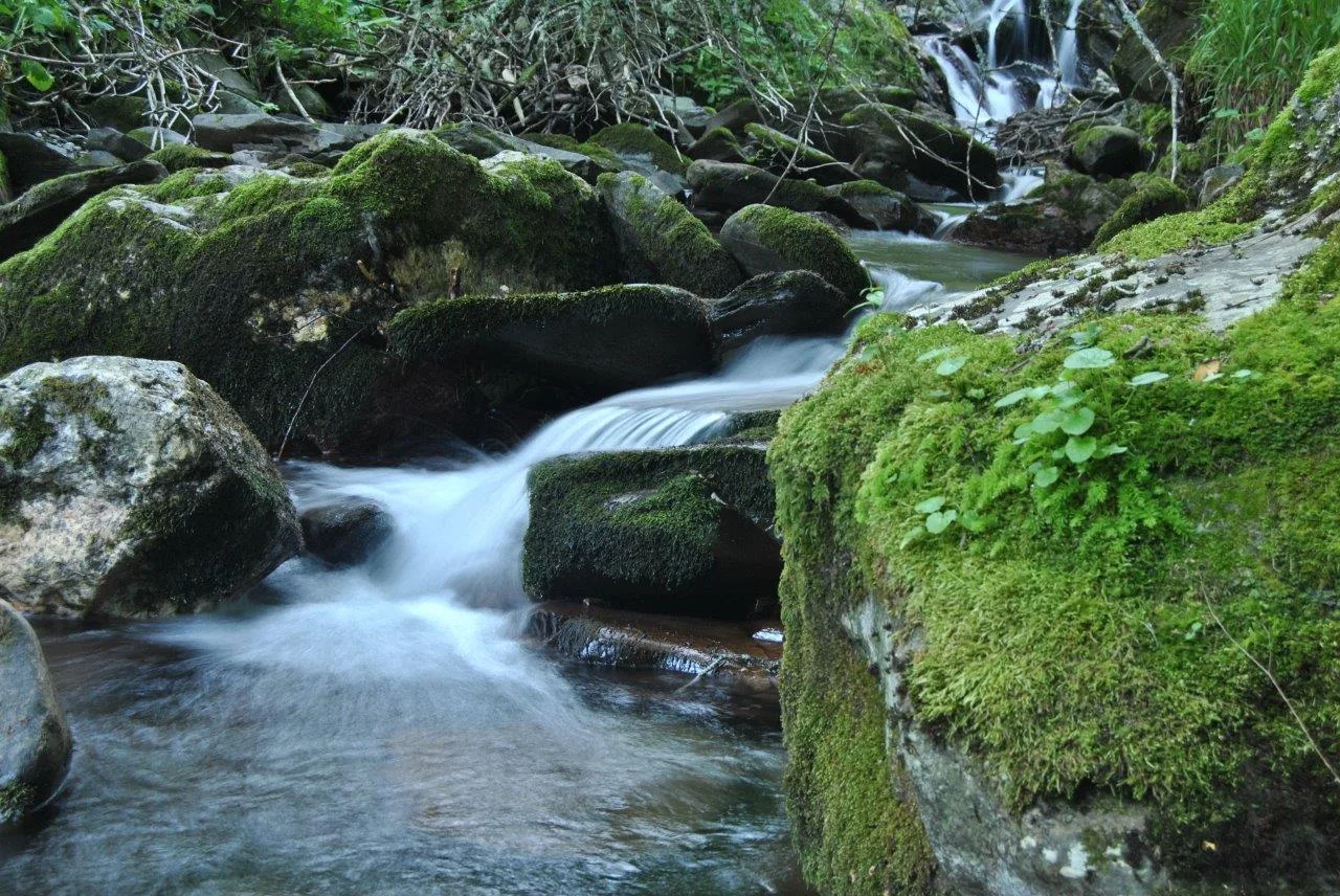 La Reserva de la Biosfera Valle de Laciana organiza las jornadas divulgativas Valles Cantábricos: Las marcas del agua