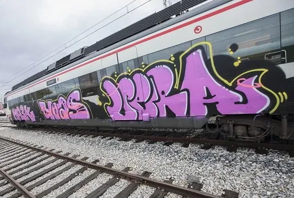 Detenidas 29 personas, una de ellas en Ponferrada, como presuntas autoras de cerca de 300 grafitis en trenes de varias ciudades