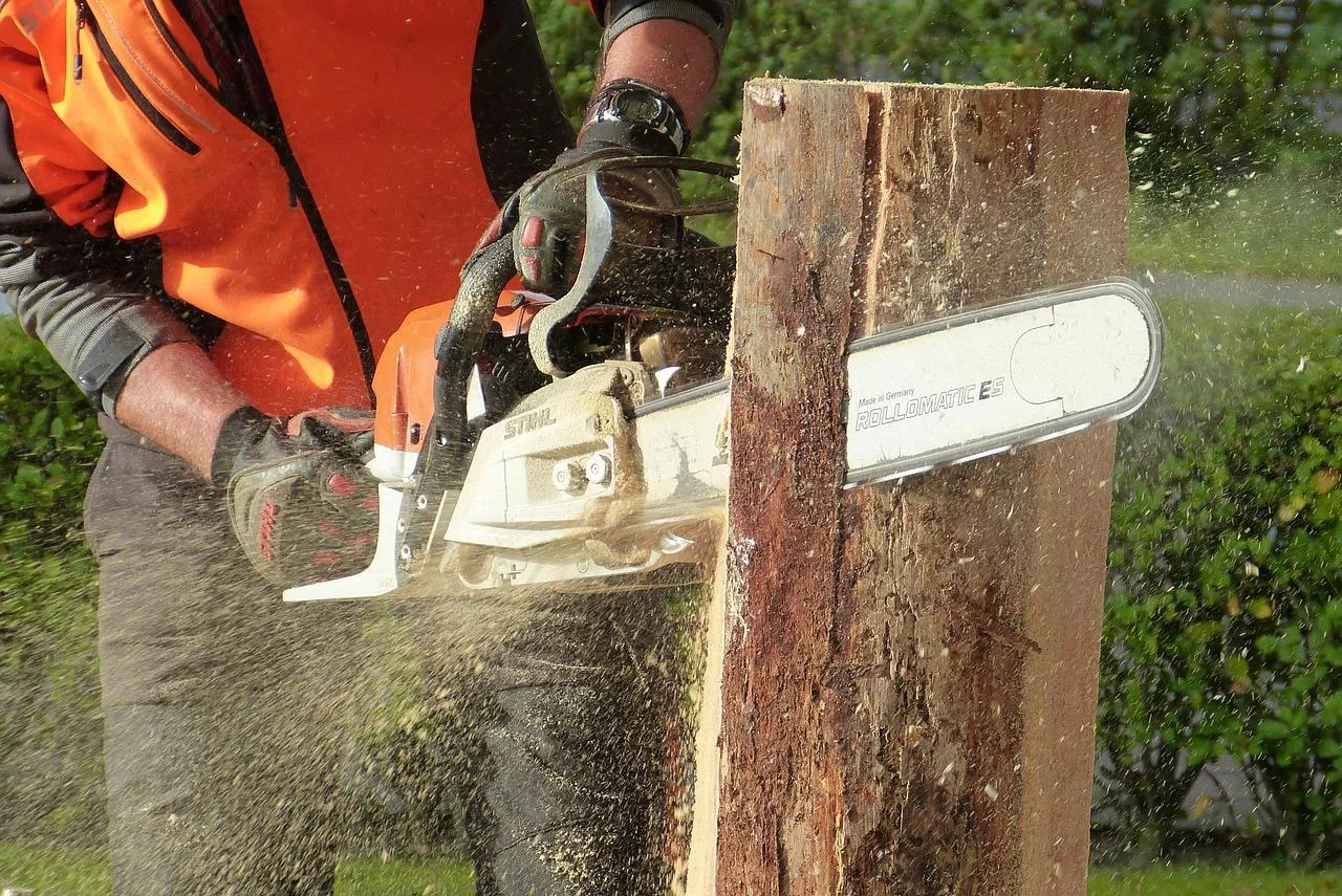 La Junta licita en la subasta de primavera un total de 26 lotes de madera valorados en 1,1 millones de euros