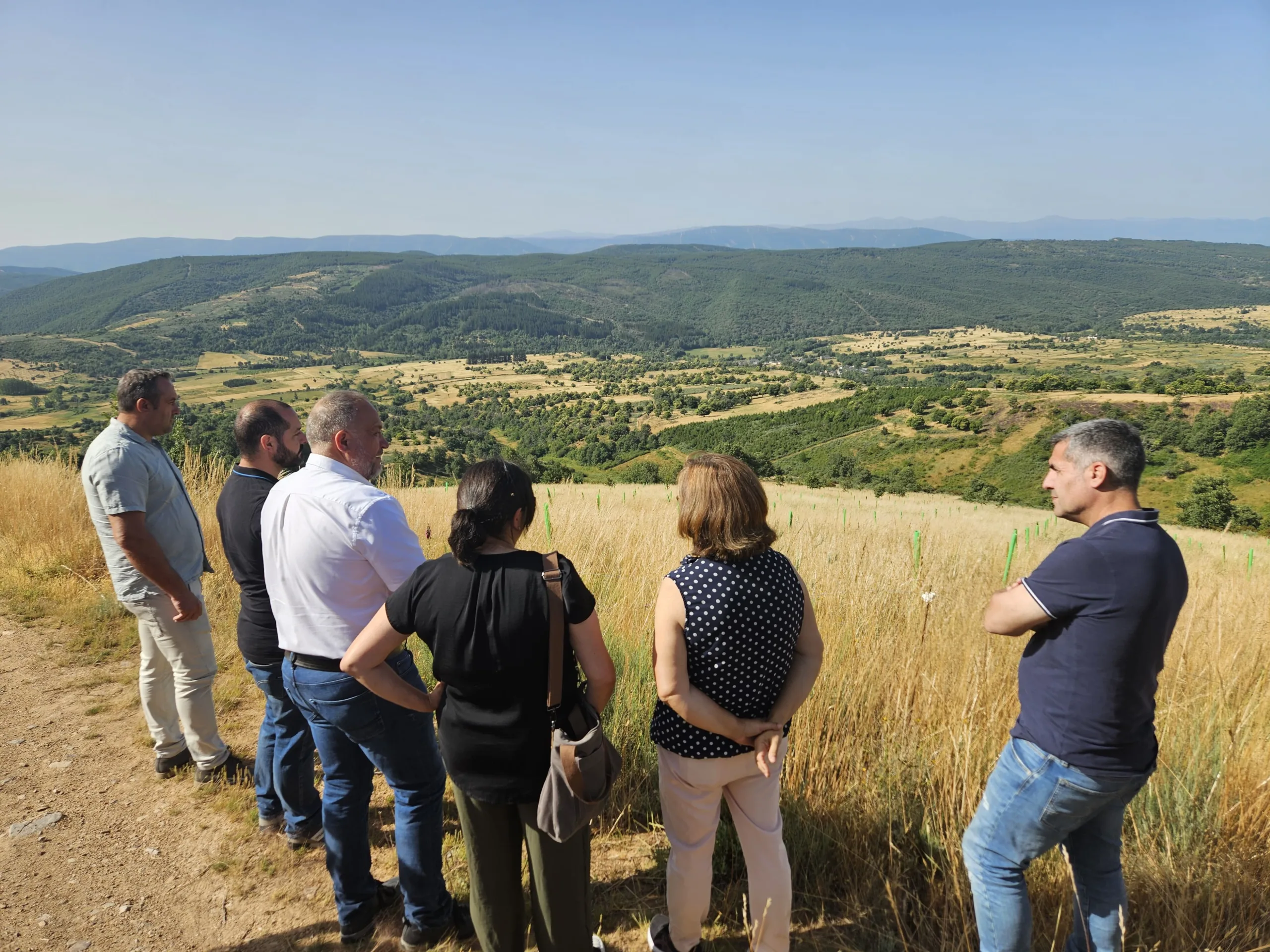 Visita de Diputación a un proyecto de reforestación en Quintana de Fuseros con 4.000 castaños ya plantados
