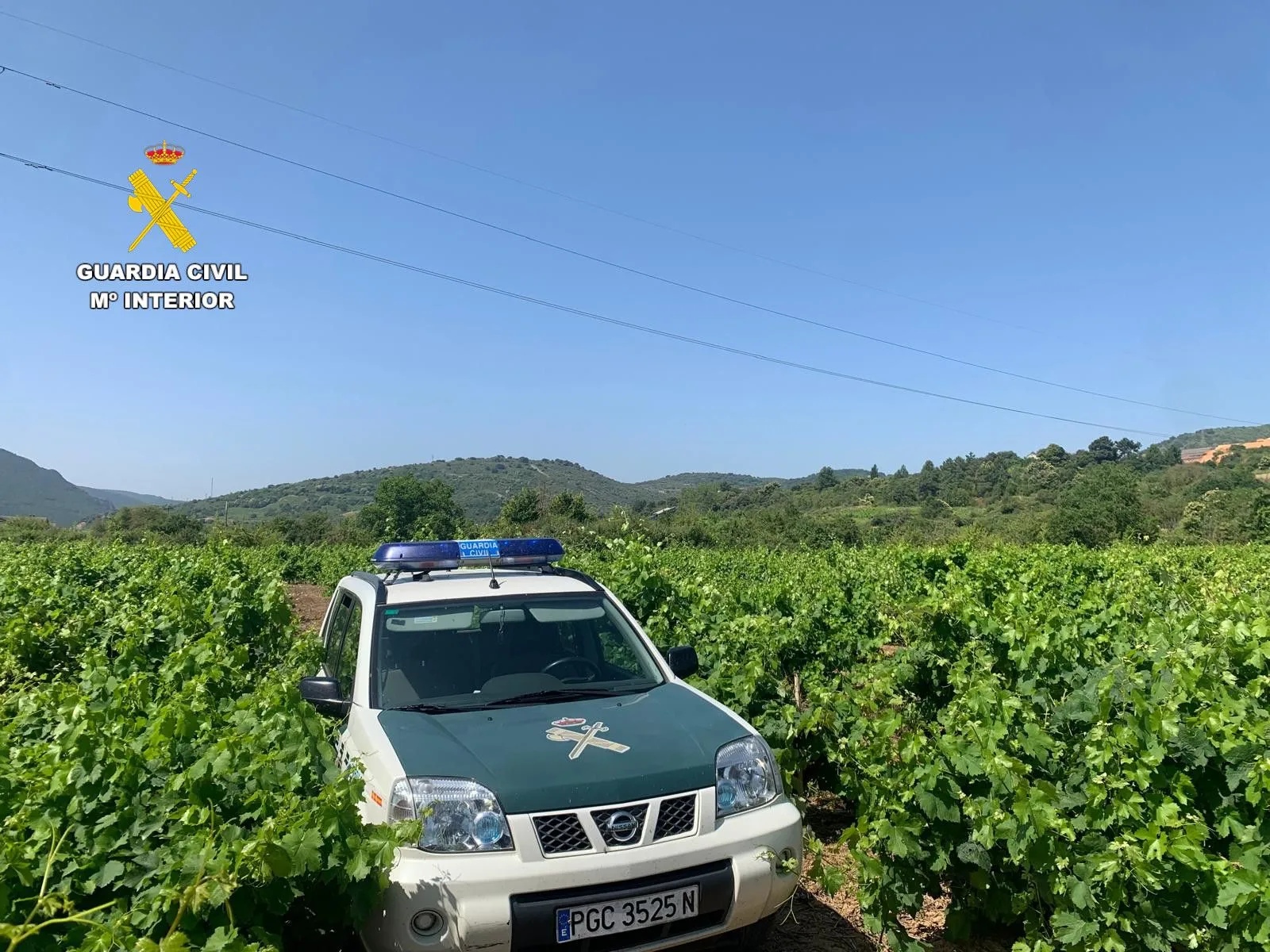 Investigan a una persona por simular delitos y sabotear una cooperativa vinícola en El Bierzo