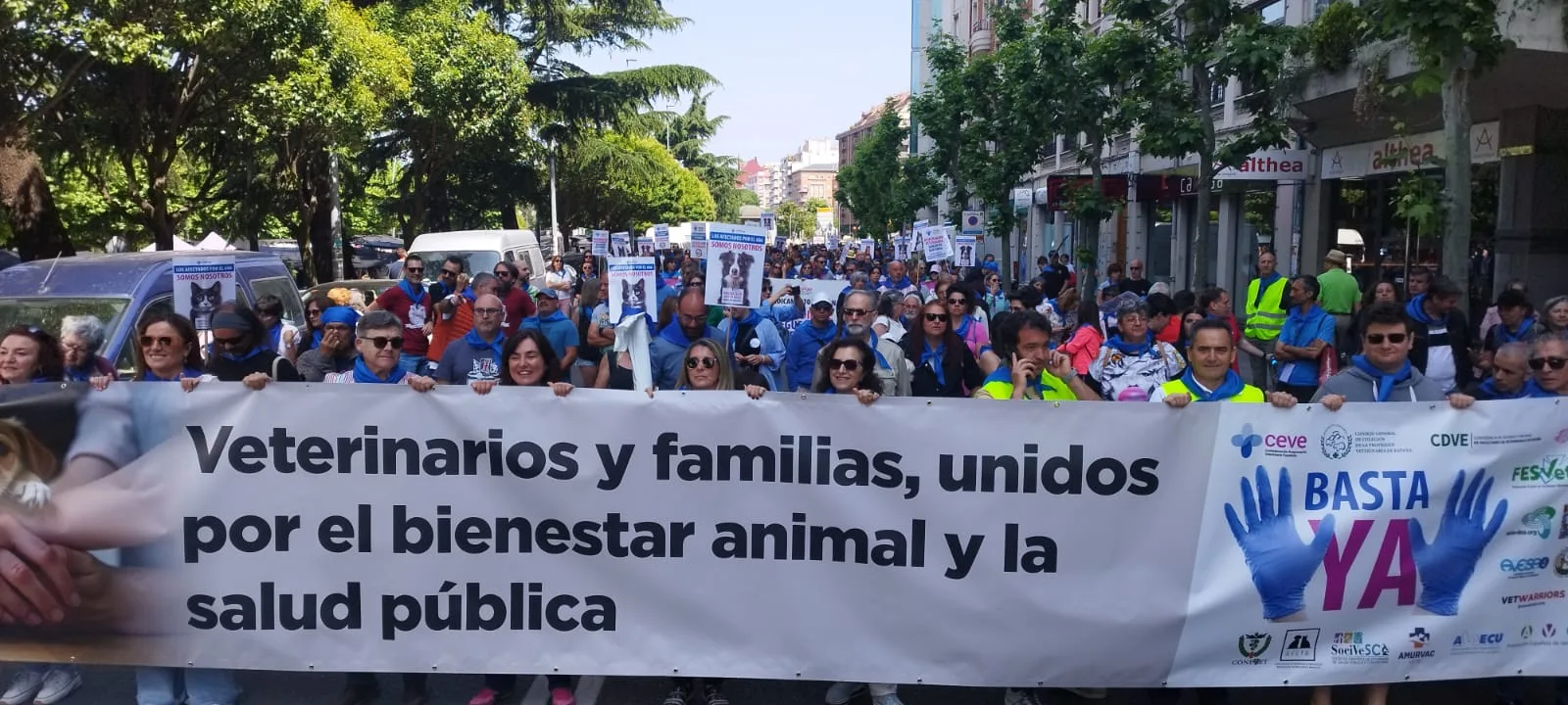León alza la voz por el bienestar animal frente a una normativa que limita a los veterinarios