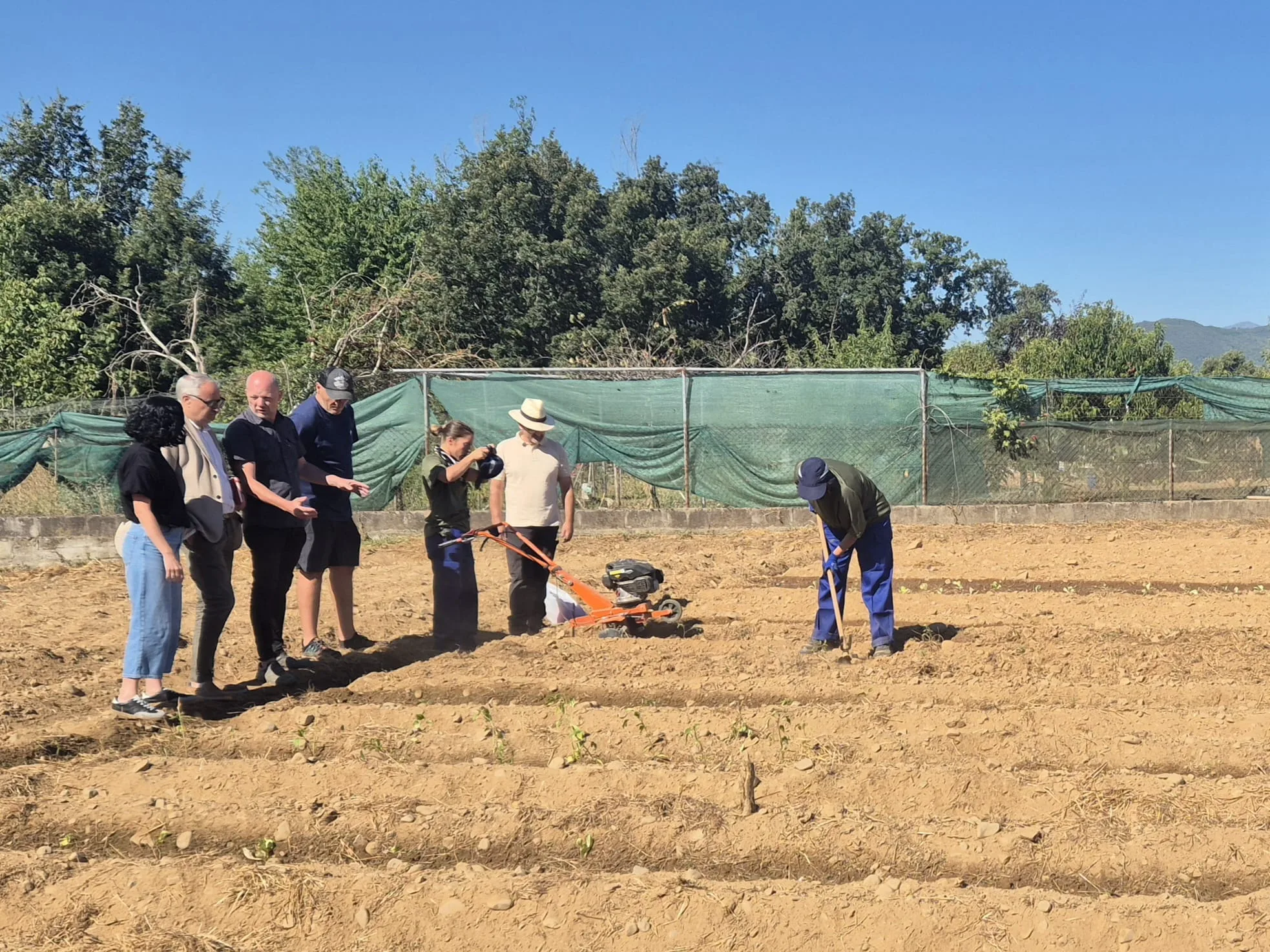 Proyecto 'Agromentoring': El Consejo Comarcal contribuye al relevo generacional en el sector agrícola con formación práctica en una finca del Banco de Tierras en Villadepalos