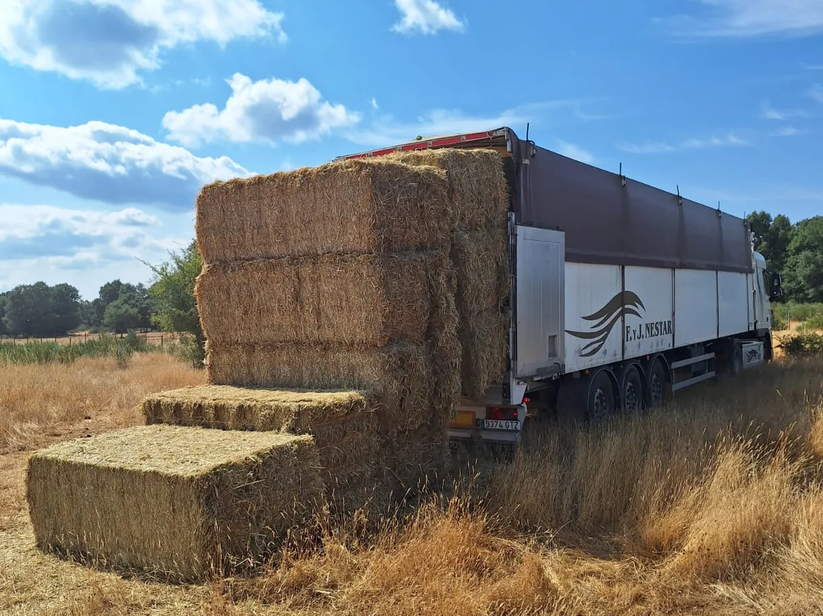 La Junta suministra más de 922.000 kilos de alimentos a 74 ganaderías afectadas por los incendios