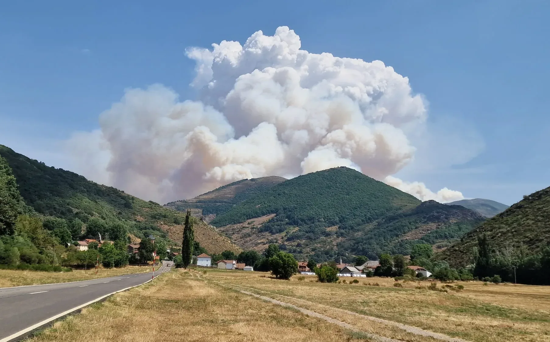 La Junta aprueba en Consejo de Gobierno las primeras ayudas para paliar los efectos de los incendios forestales