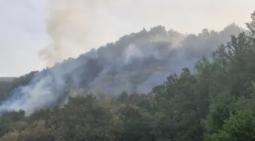 Baja a IGR 0 el incendio de Caboalles