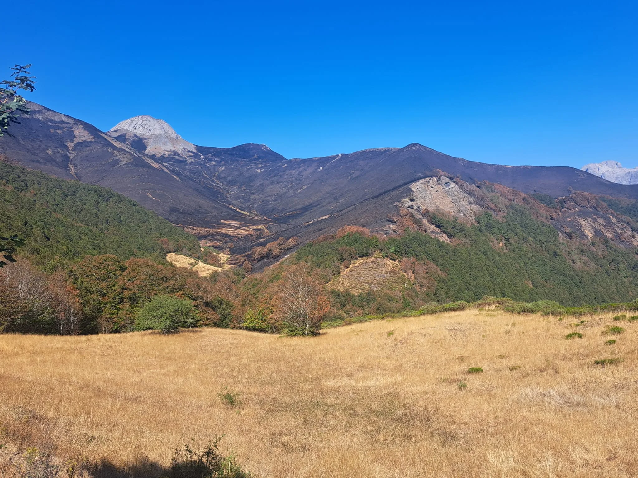 Diputación convoca este jueves a los 114 ayuntamientos de la provincia en riesgo de incendio según el Plan Infocal