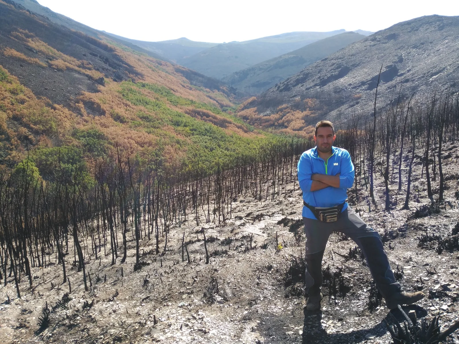 Expertos de la ULE abogan por recuperar usos tradicionales, promover el pastoreo, la silvicultura preventiva y las quemas prescritas “porque los grandes incendios forestales no sólo se resuelven con medios de extinción”