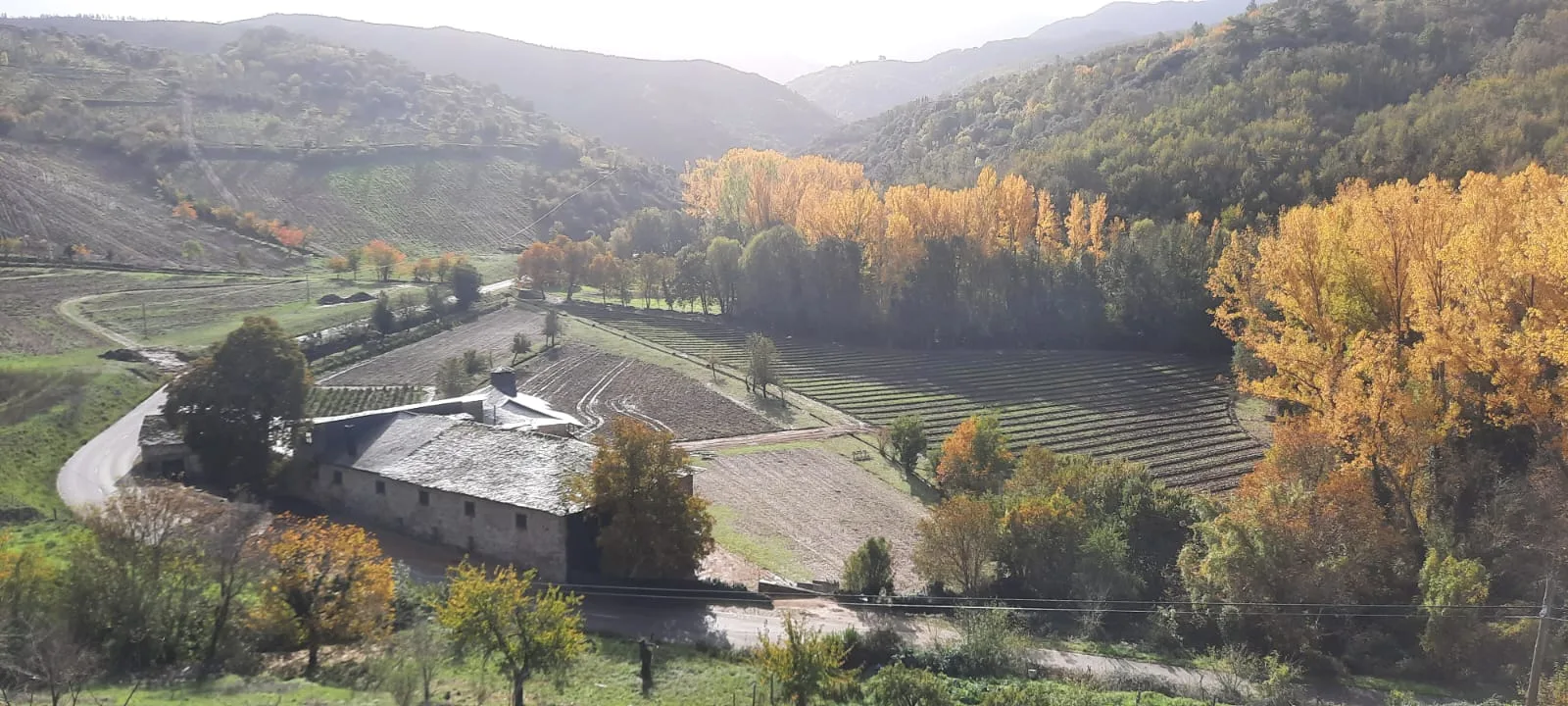 Patrimonio autoriza actuaciones en la Granja de Santullano y la futura Casa Museo Rural en Villar de los Barrios