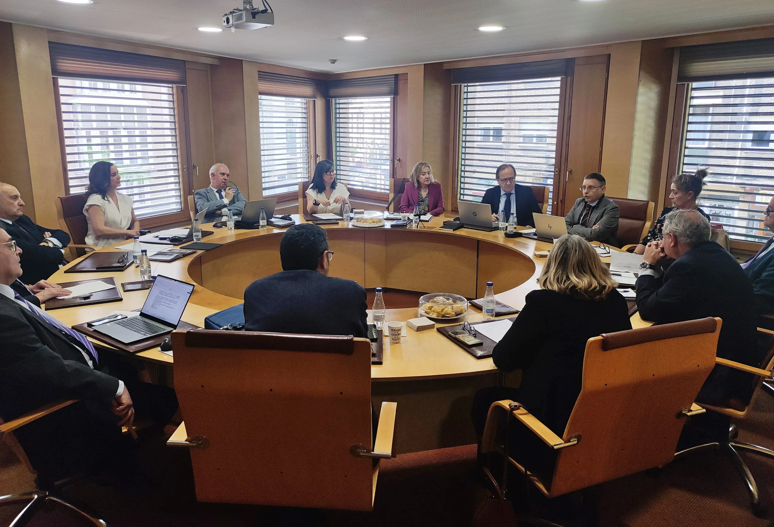 El CACYL pide al Gobierno acceso a asistencia jurídica gratuita para los afectados por los incendios sin necesidad de acreditar insuficiencia de recursos económicos