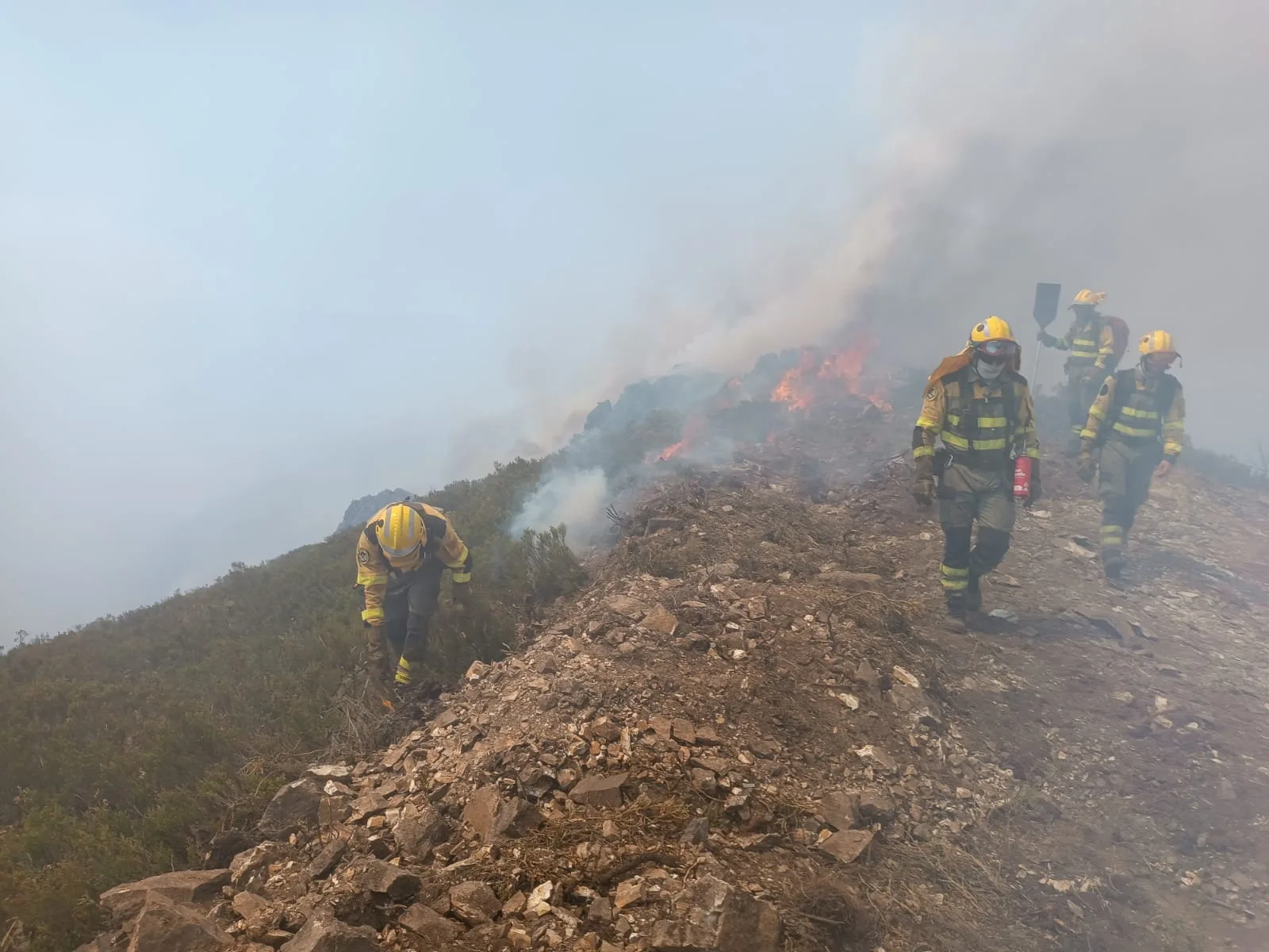 La Junta aprueba el decreto ley que “prevé entre 2026 y 2028 hacer público el dispositivo de incendios forestales, salvo en servicios de alta especialización como los medios aéreos o la maquinaria pesada”