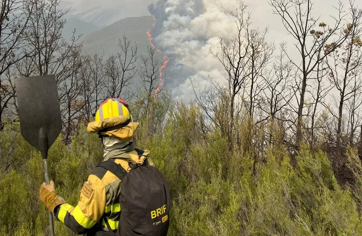 La Junta destina más de 11.000 euros a reparar infraestructuras de telecomunicaciones dañadas por los incendios en Benuza, Palacios del Sil y Peranzanes
