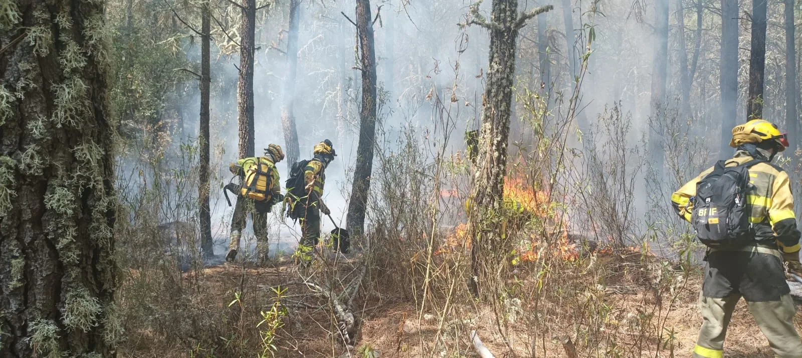 Fallece uno de los heridos en estado crítico por el incendio de Molezuelas de la Carballeda-Castrocalbón