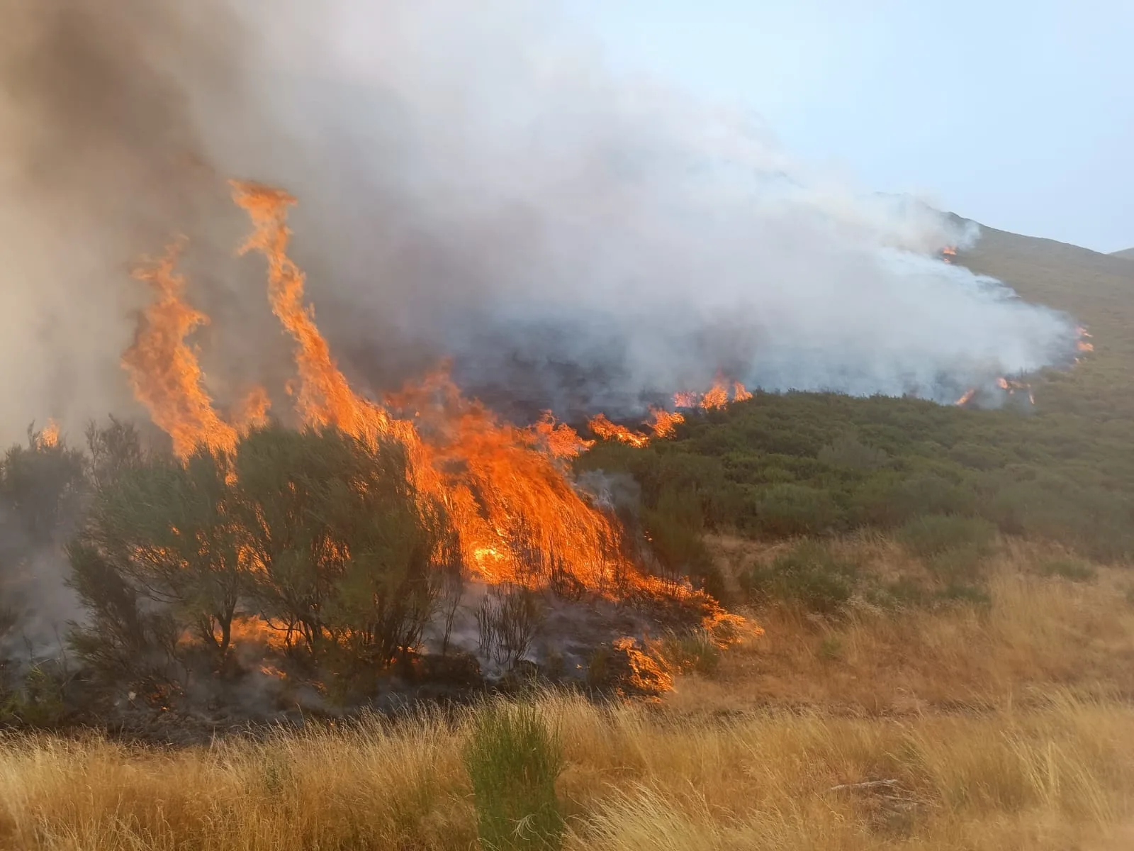 Deciden evacuar Peñalba de Santiago, Bouzas y Montes de Valdueza en el municipio de Ponferrada tras superar el fuego la carretera del Morredero