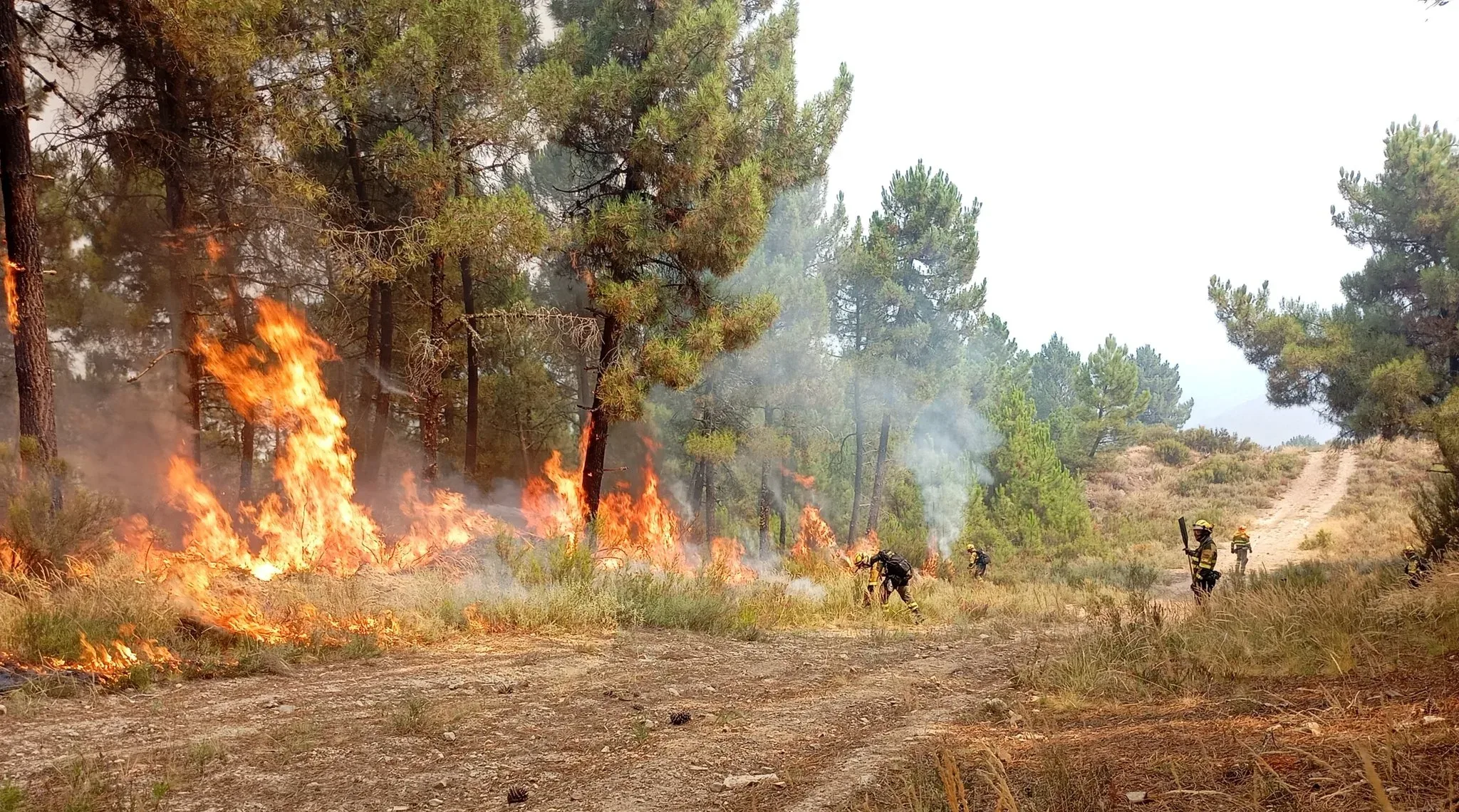 Yeres, Santalavilla, Carucedo, Orellana y Voces siguen desalojadas, se corta el acceso a Ferradillo y el incendio de Paradiña sube a índice de gravedad 2