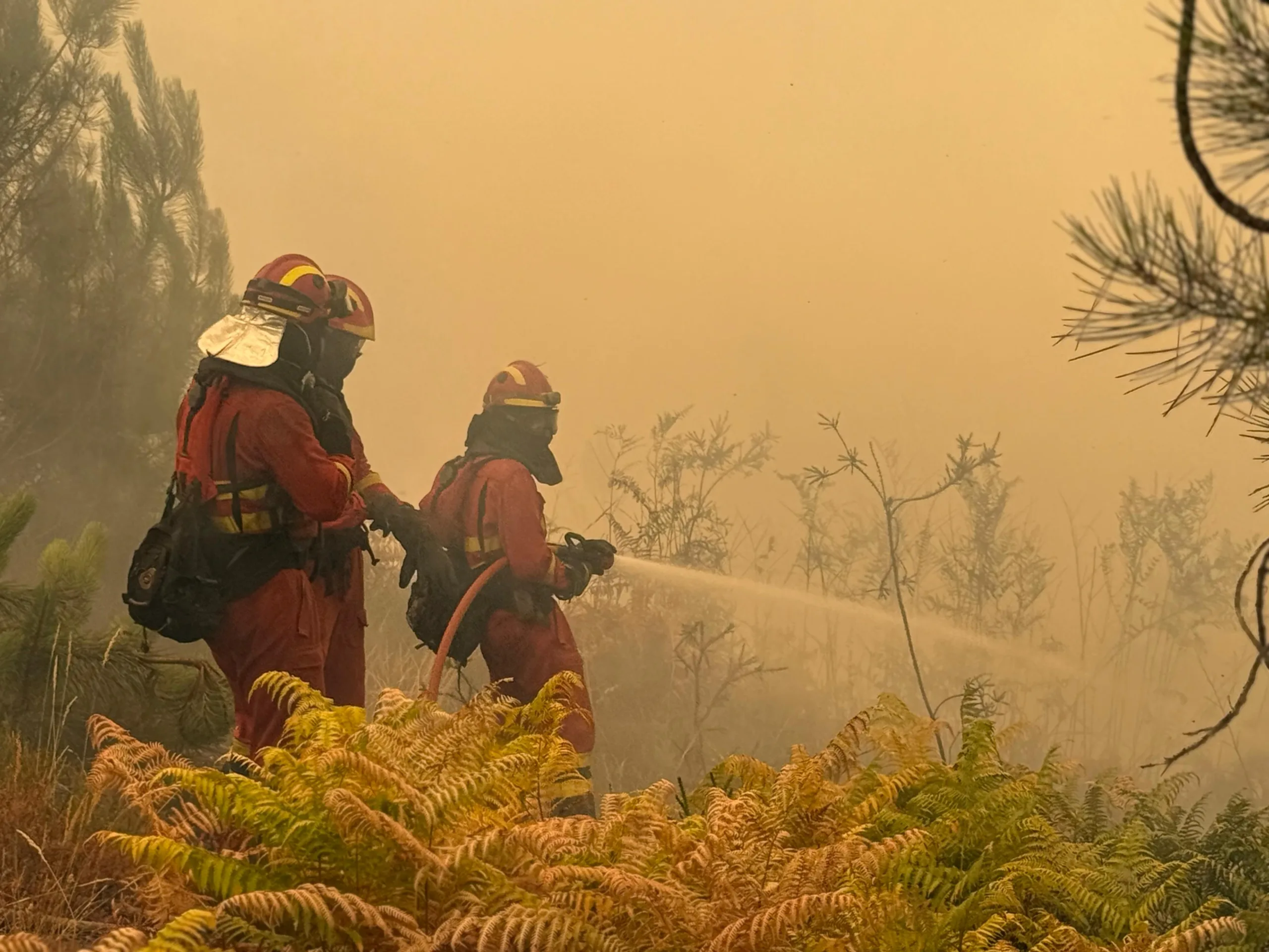 El PP de León acusa al PSOE de buscar rédito político con los incendios forestales