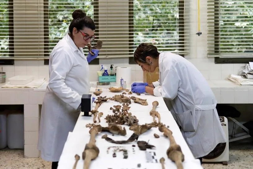 Ponferrada pone en marcha un proyecto de identificación de víctimas de la Guerra Civil y la dictadura franquista exhumadas desde 2021