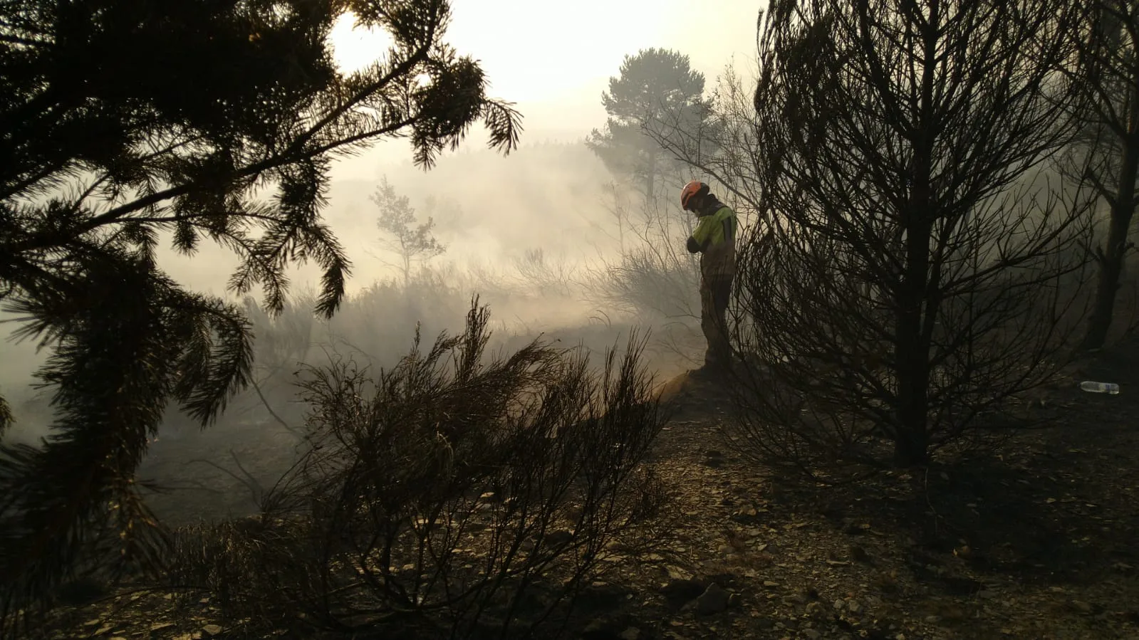 El Consejo de Ministros declara las 'Zonas afectadas gravemente por una Emergencia de Protección Civil' como consecuencia de los incendios forestales entre el 23 de junio y el 25 de agosto