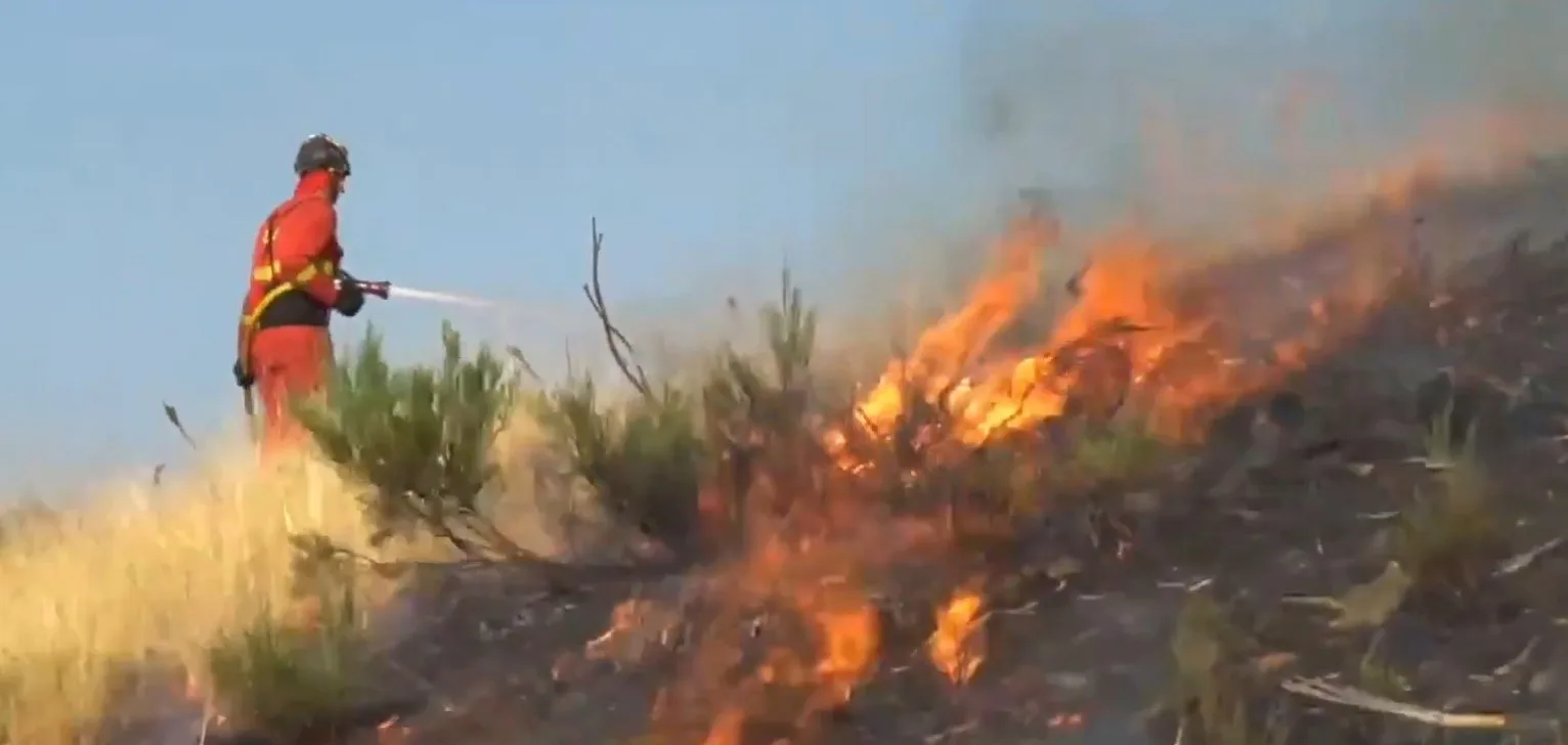 Los rayos latentes, un riesgo silencioso detrás de los incendios: un árbol puede arder durante días antes de provocar un fuego