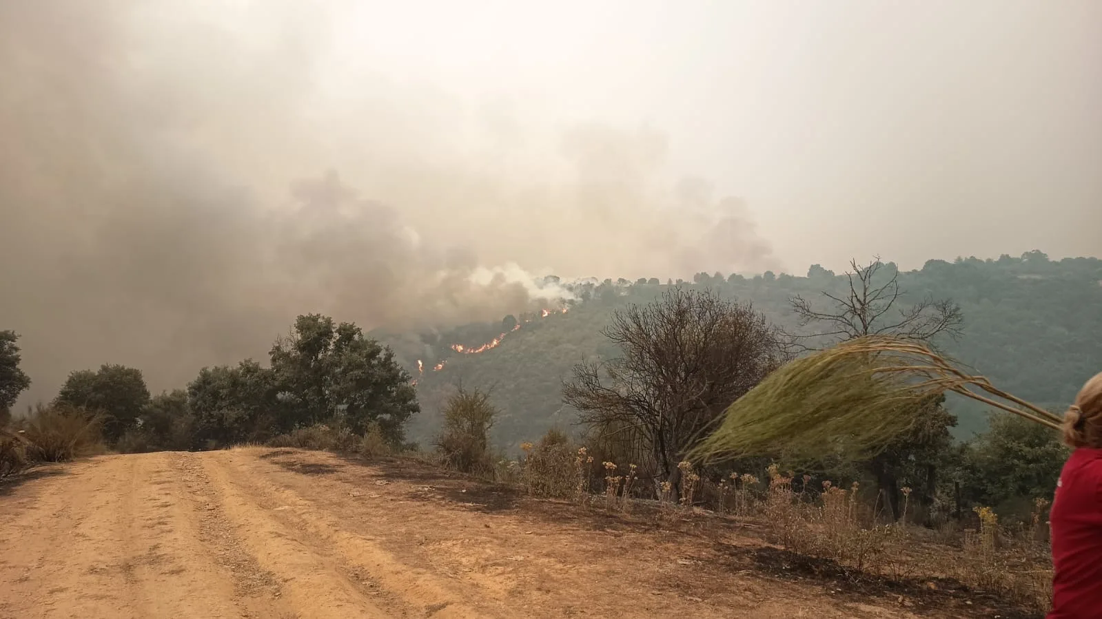 Vecinos de Villafranca denuncian abandono: incendios en las pedanías y un alcalde desaparecido