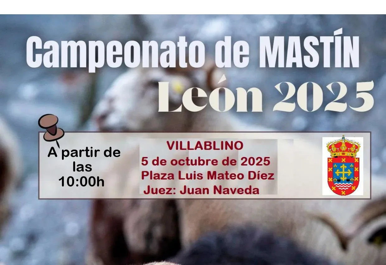 Villablino acoge el Campeonato de Mastín León 2025 el próximo 5 de octubre