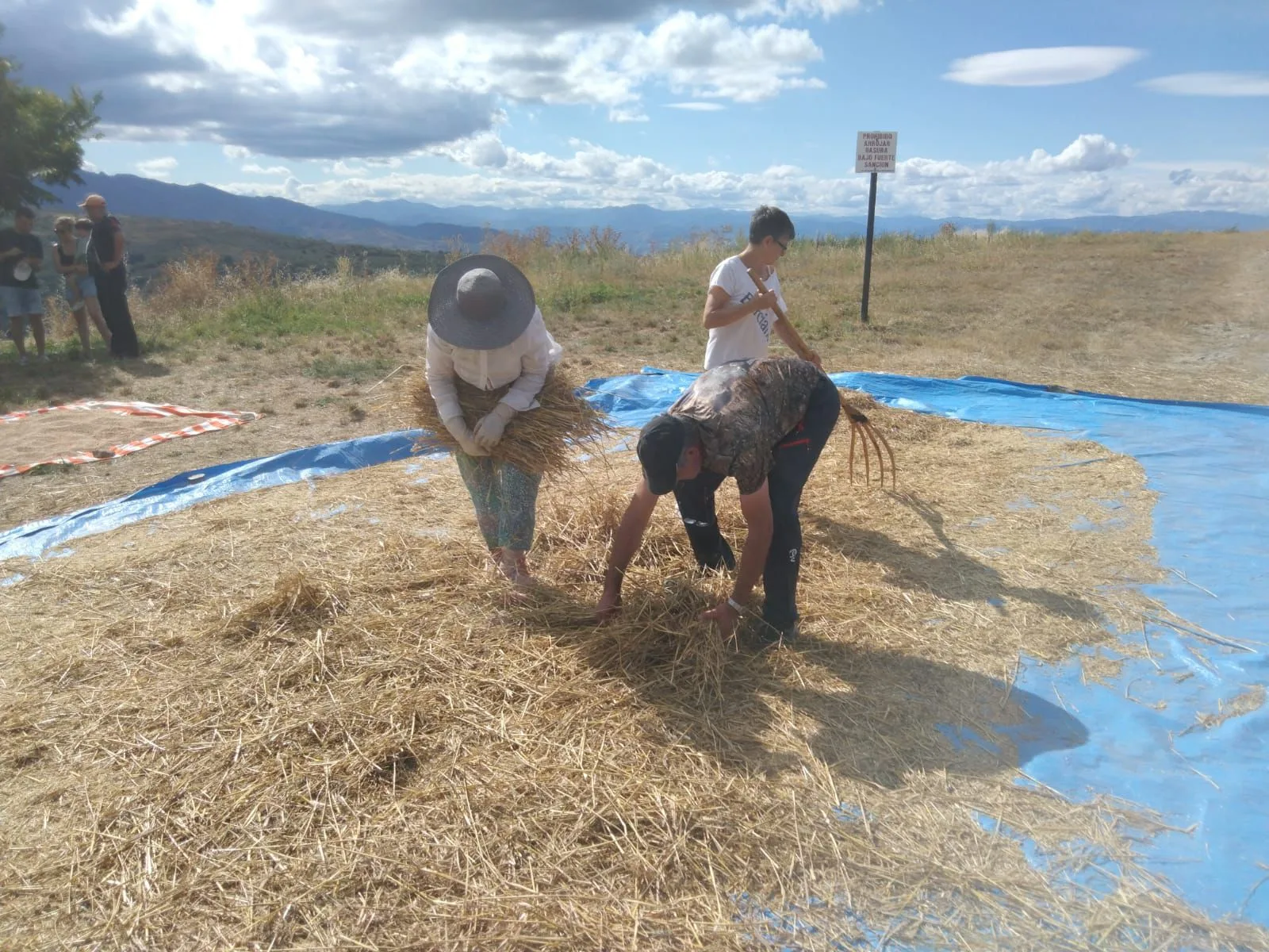 Espinoso de Compludo recupera tradiciones con la I Fiesta del Trigo