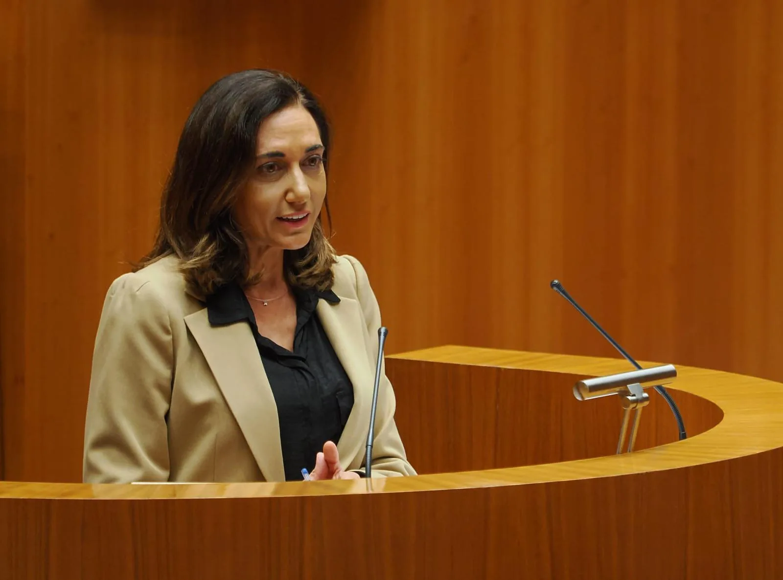 UPL insiste en la conexión por autovía entre León y Bragança para mejorar la logística de la provincia