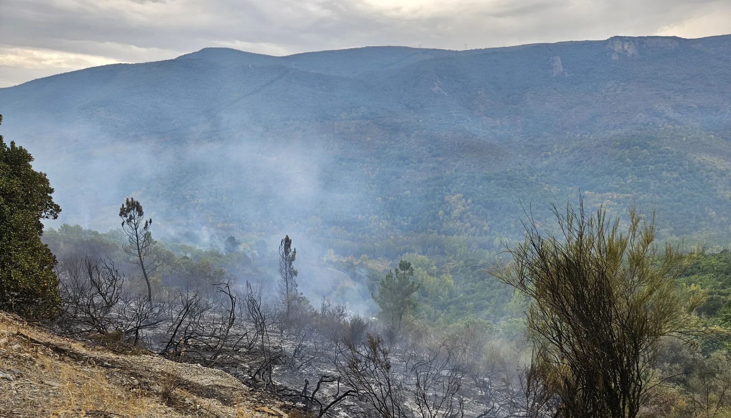 Controlado el incendio declarado en Sobrado entre Cancela y Aguiar