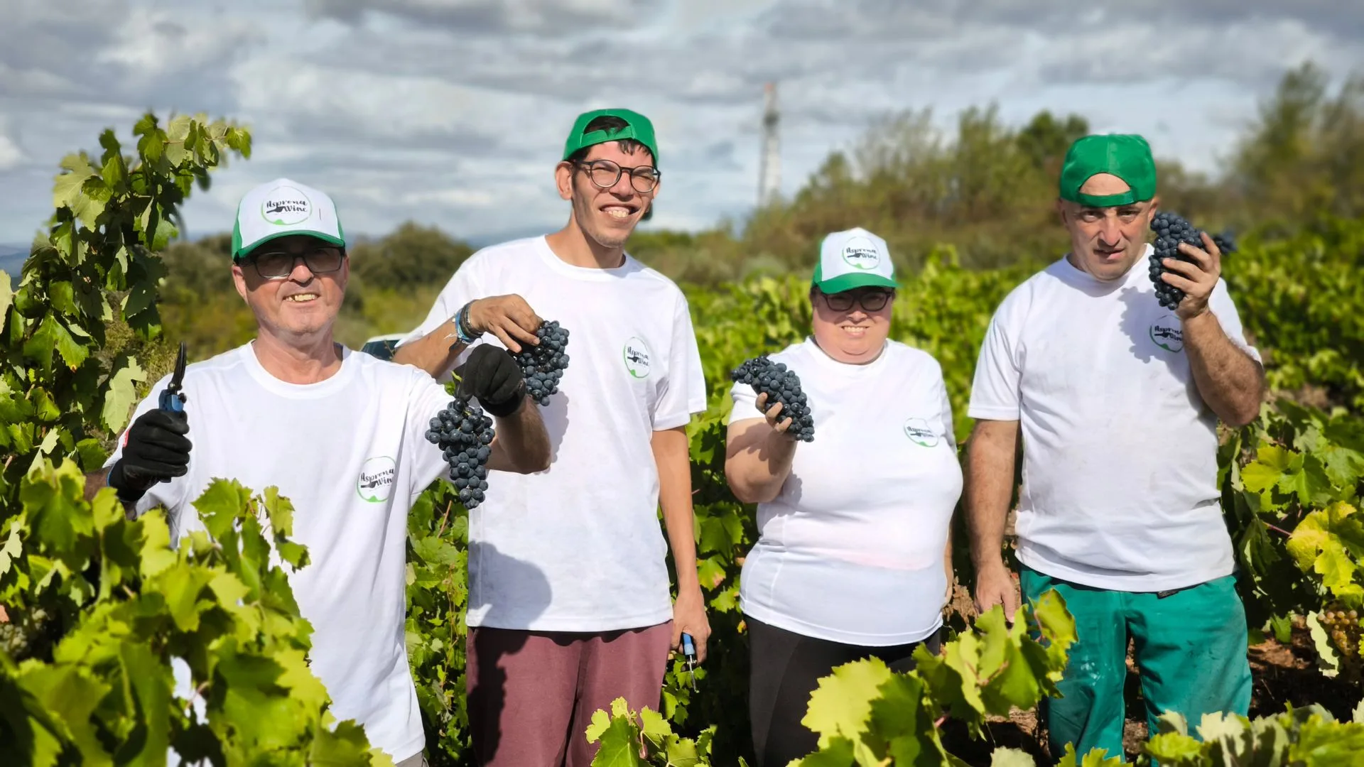 Asprona Bierzo inicia su tercera vendimia para elaborar la nueva añada de su vino 'Aspronautas'