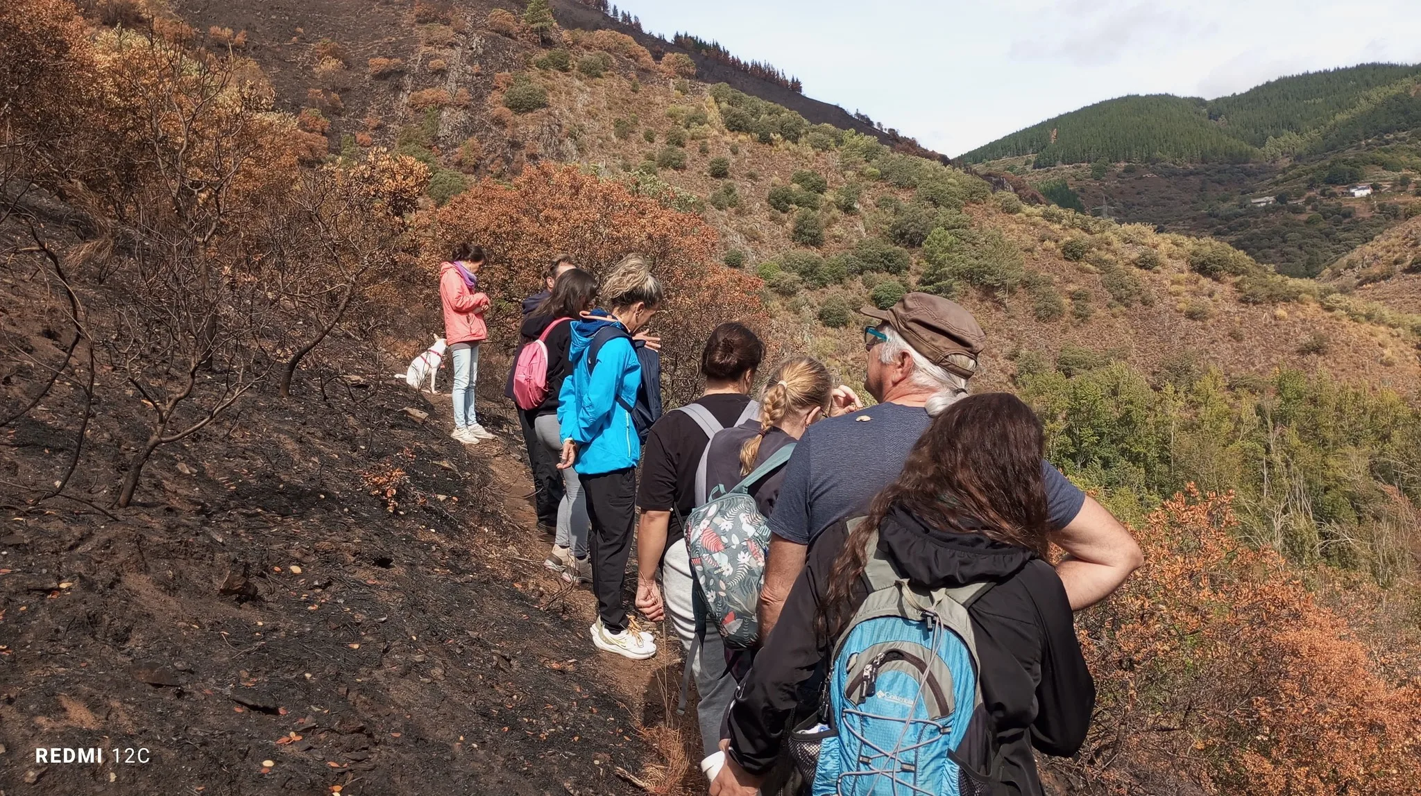 Voluntariado ambiental recoge semillas en Villafranca para regenerar zonas afectadas por los incendios